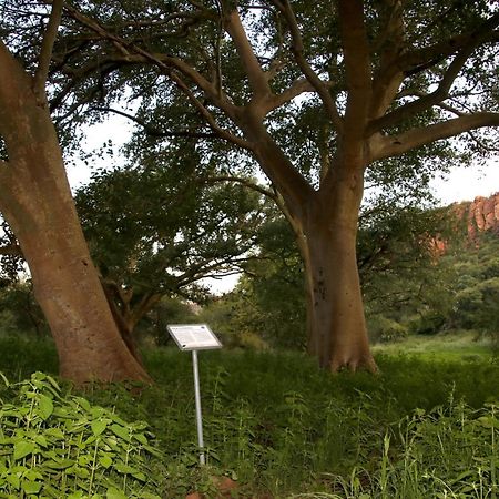 Villa Waterberg Wilderness - One Namibia Exterior foto